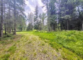 80± Acre Hunting Retreat for Sale in Butternut, WI