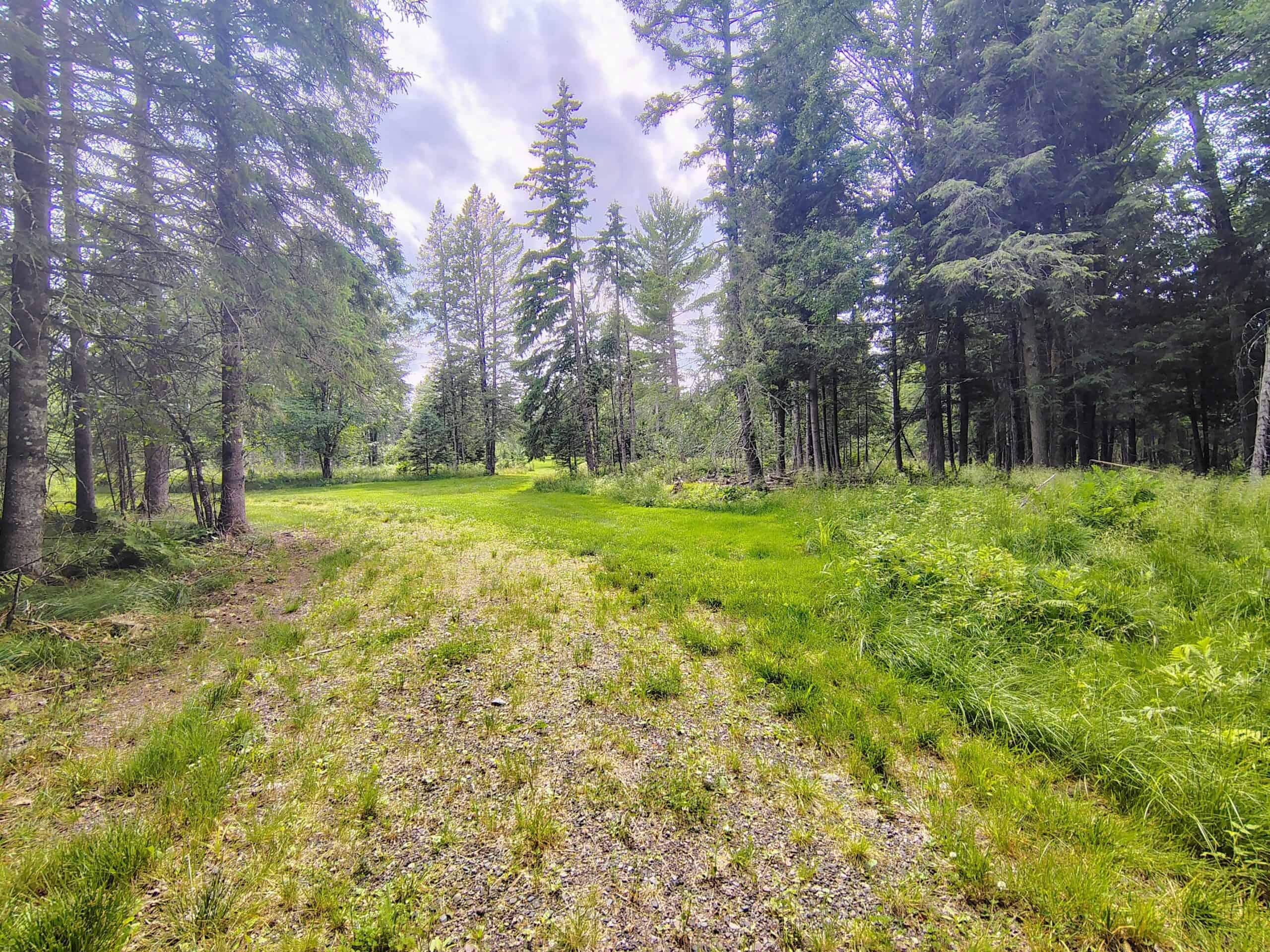 80± Acre Hunting Retreat for Sale in Butternut, WI