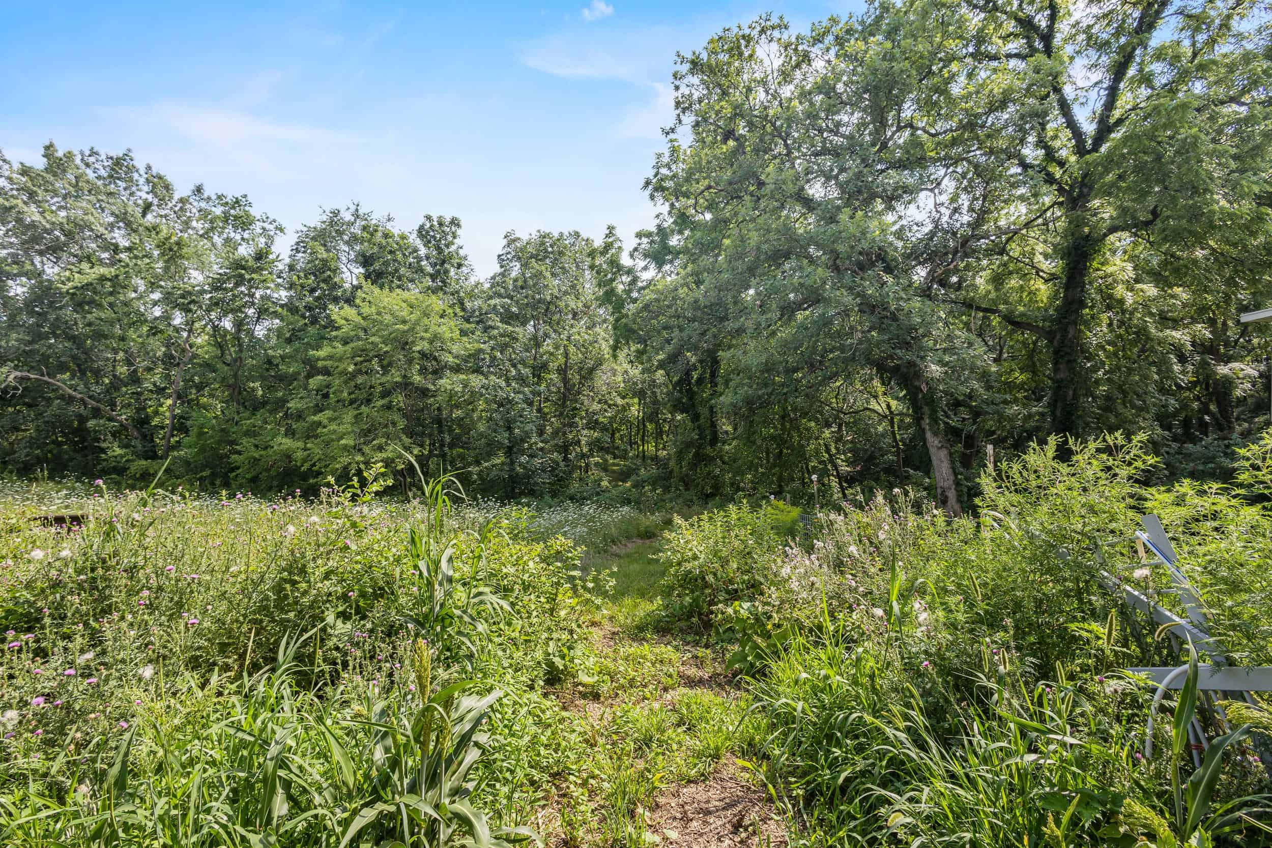 23+/- Acre Hobby Farm | Home | Pond | Outbuildings | Development Potential Online Auction