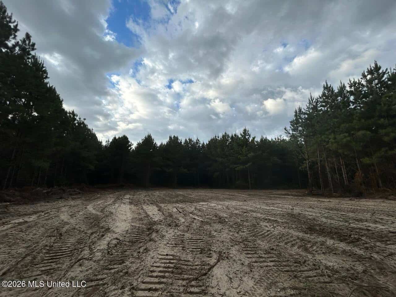 82± Acre Hunting Tract in Meadville, MS