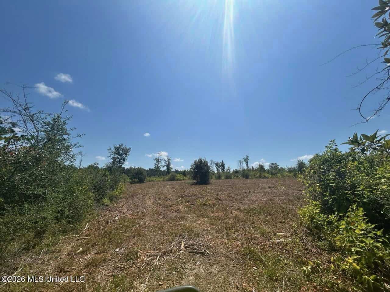 147± Acre Hunting Property in Plainview, LA
