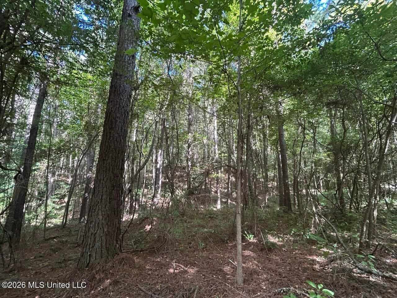 FRANKLIN COUNTY LAND FOR SALE NEAR McCALL CREEK