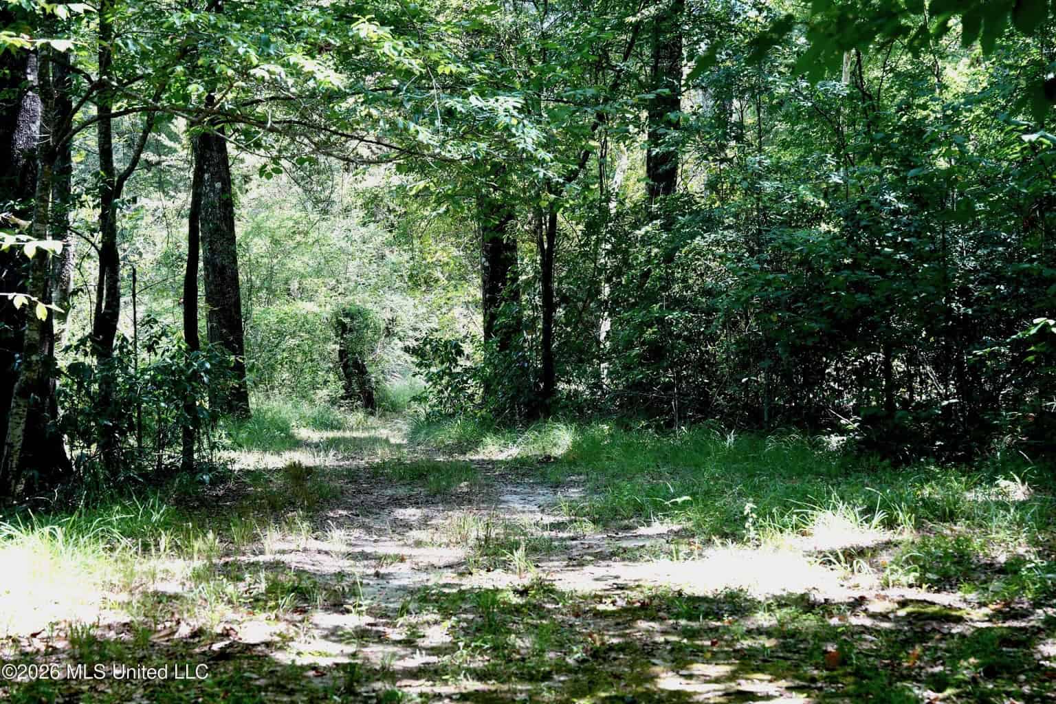 150 Acres for Sale in Magnolia MS on Tangipahoa River