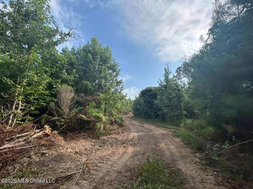 90± Acre Hunting Tract for Sale in Meadville, MS