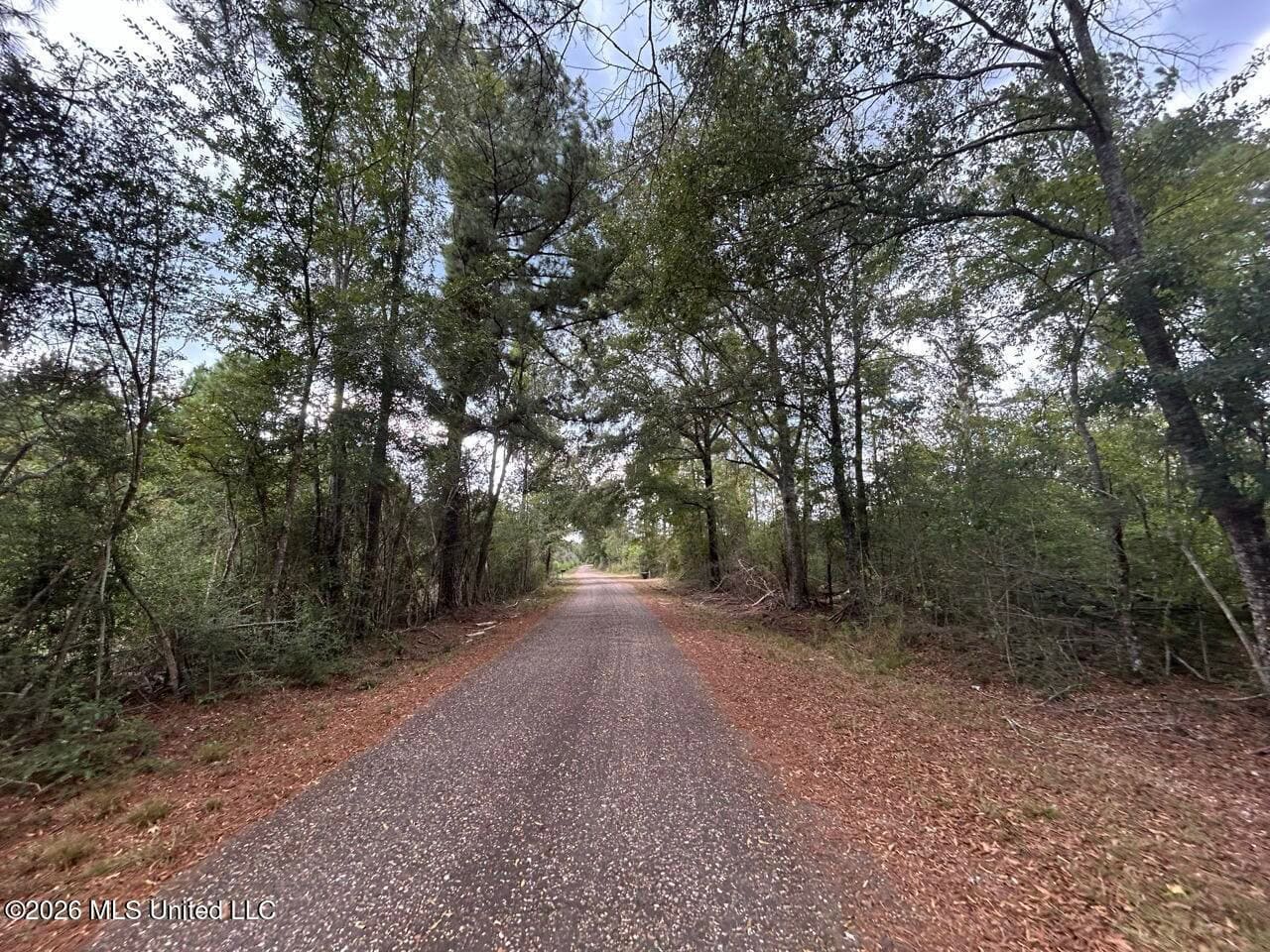 85± Acre Turnkey Hunting Property in Amite County, MS