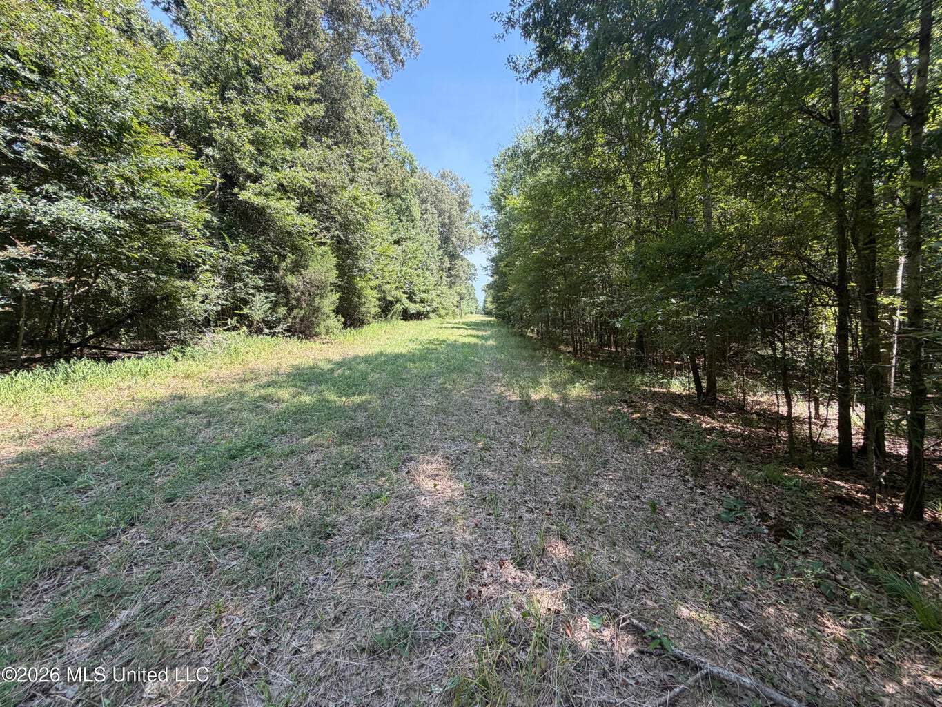 81-Acre Timber Property on 20-Acre Lake in Vaughan, MS