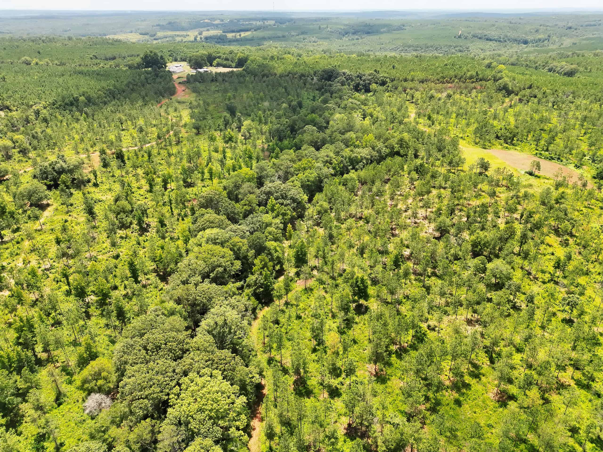 Discover an outstanding 130-acre recreational and hunting property in Stewart Cty