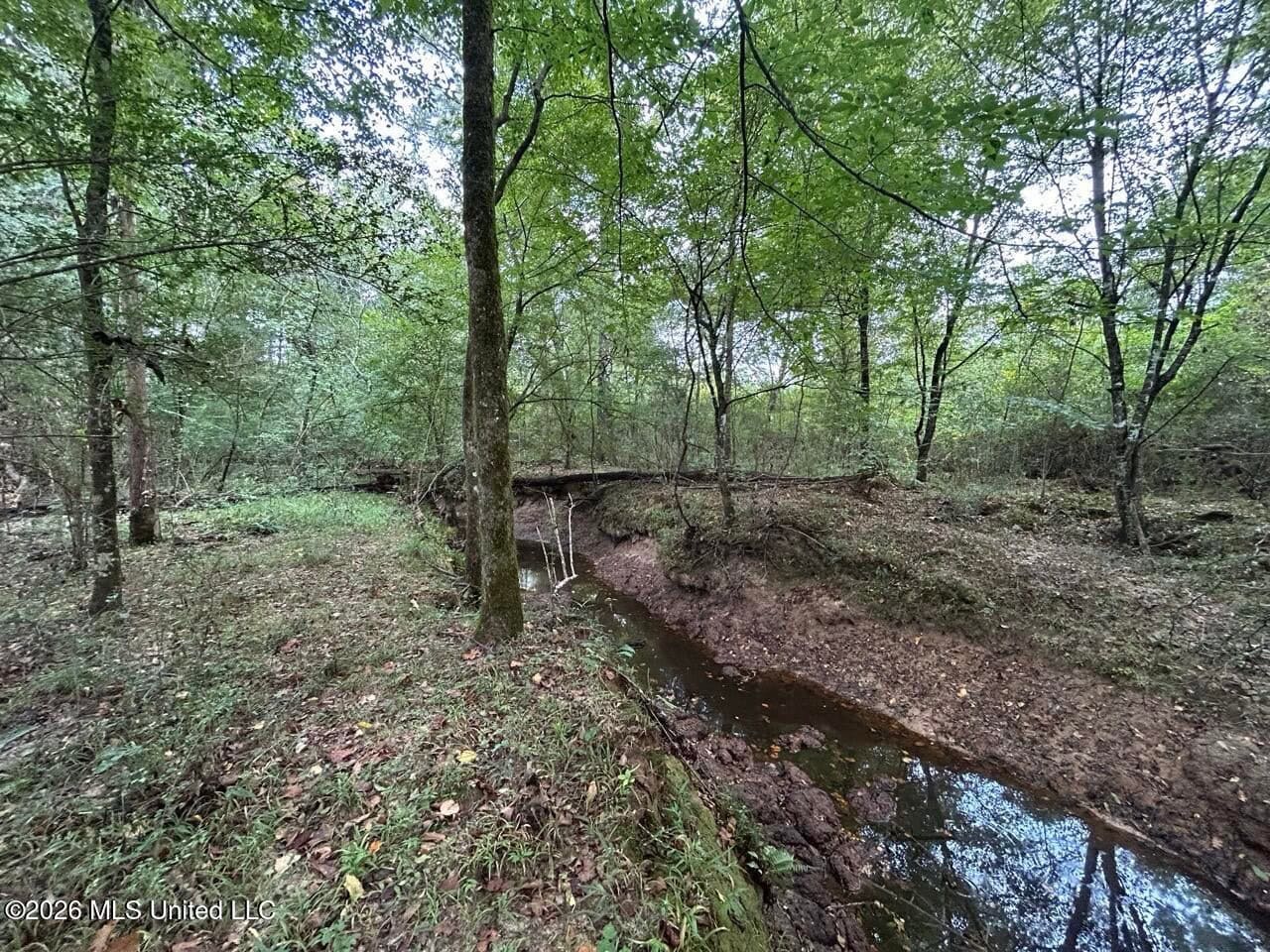 82± Acre Hunting Property in Wilkinson County, MS