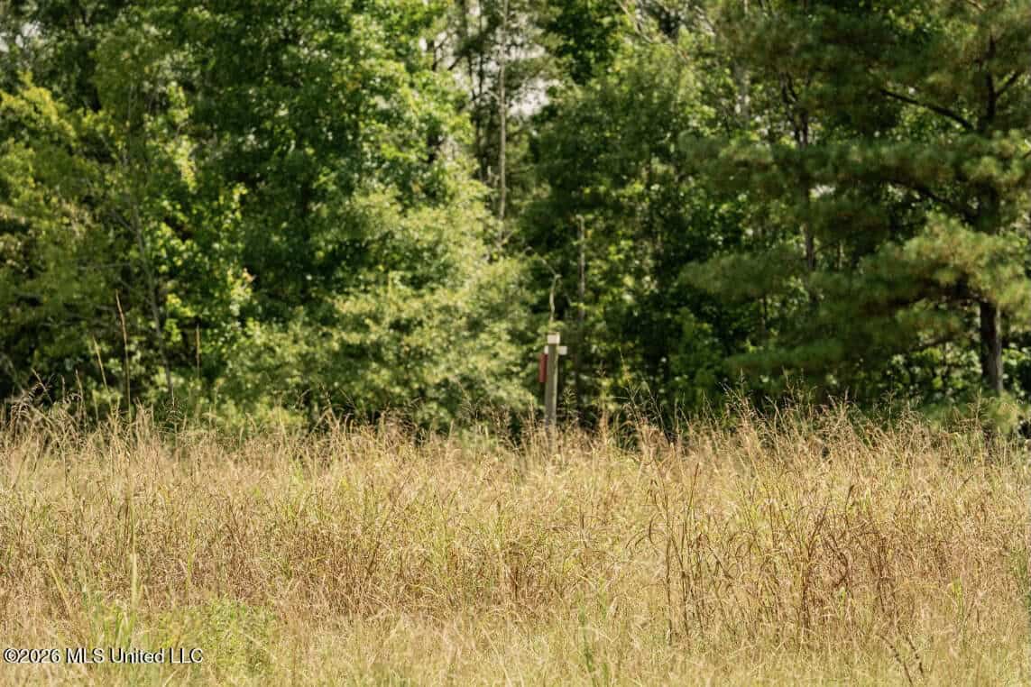 HWY 49 Land for Sale Simpson County, MS
