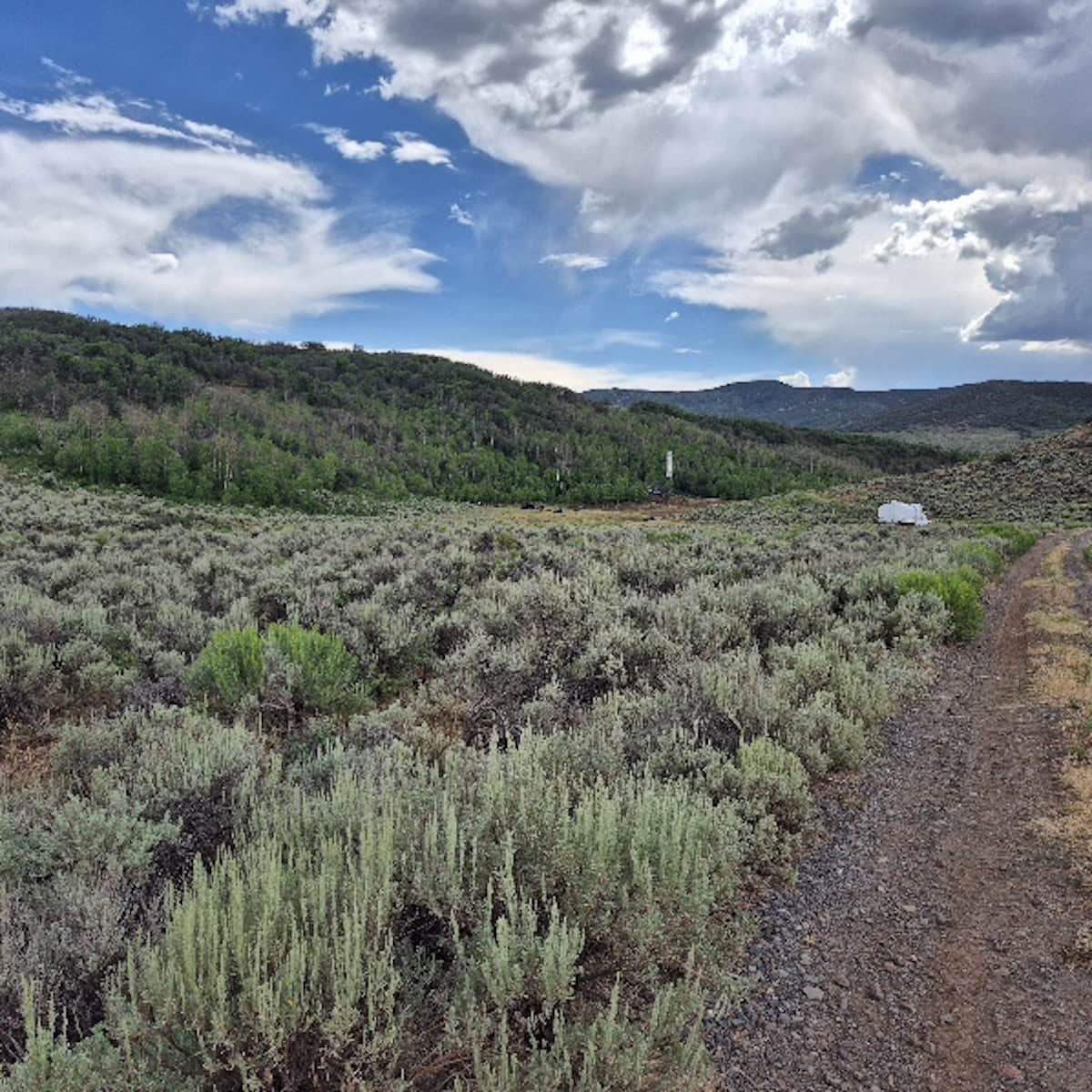 35 Acres Borders Public Land near Collbran, CO