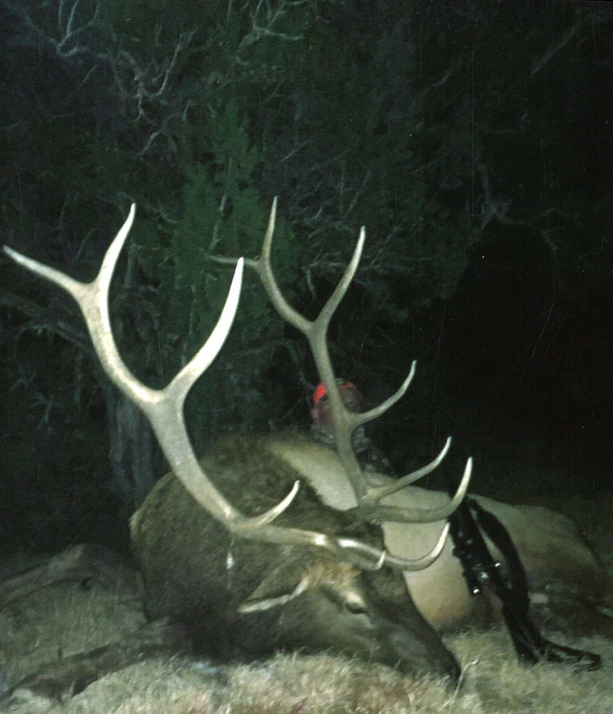 Colorado Big Game Outfitting Business For Sale