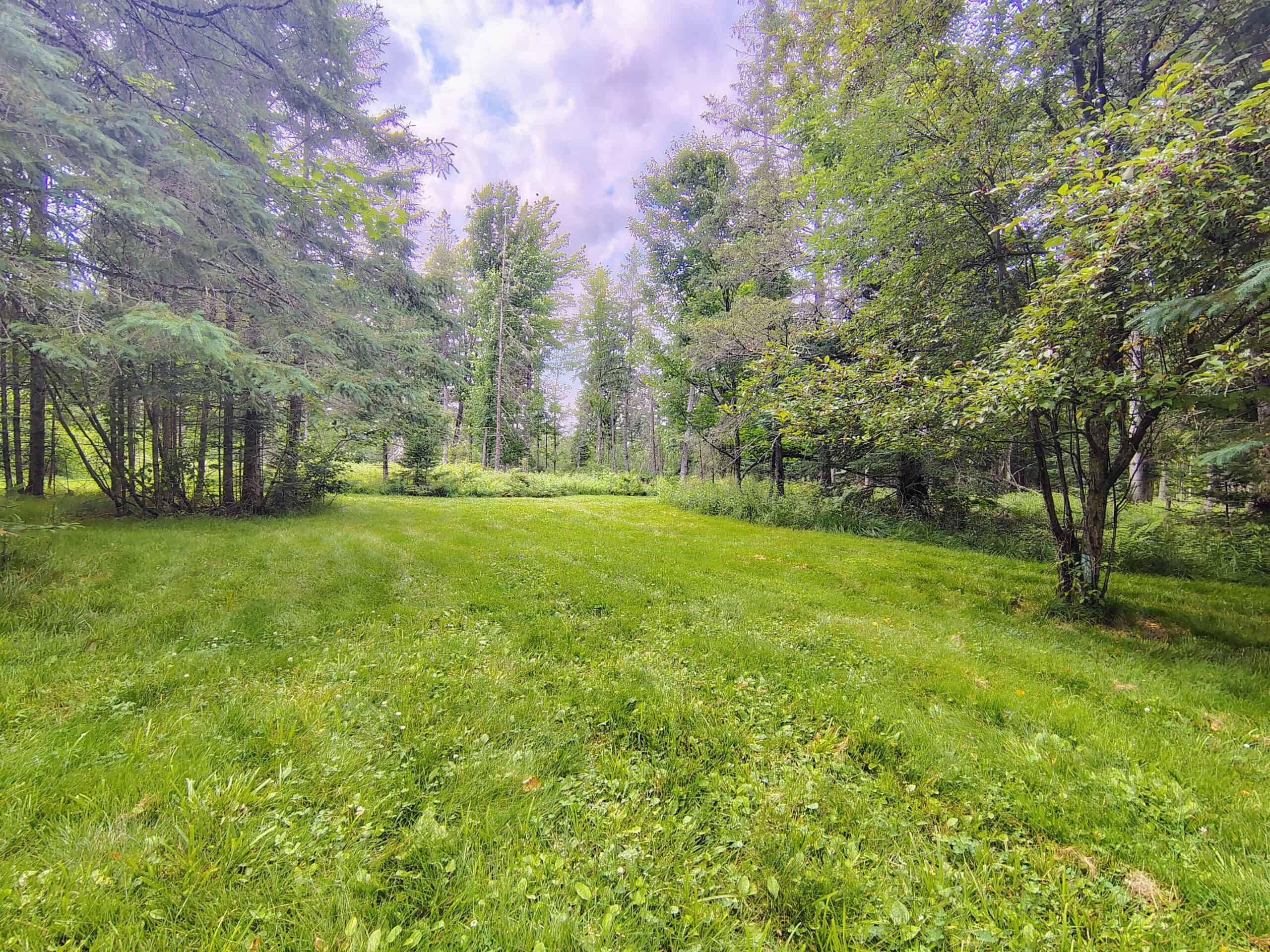 80± Acre Hunting Retreat for Sale in Butternut, WI