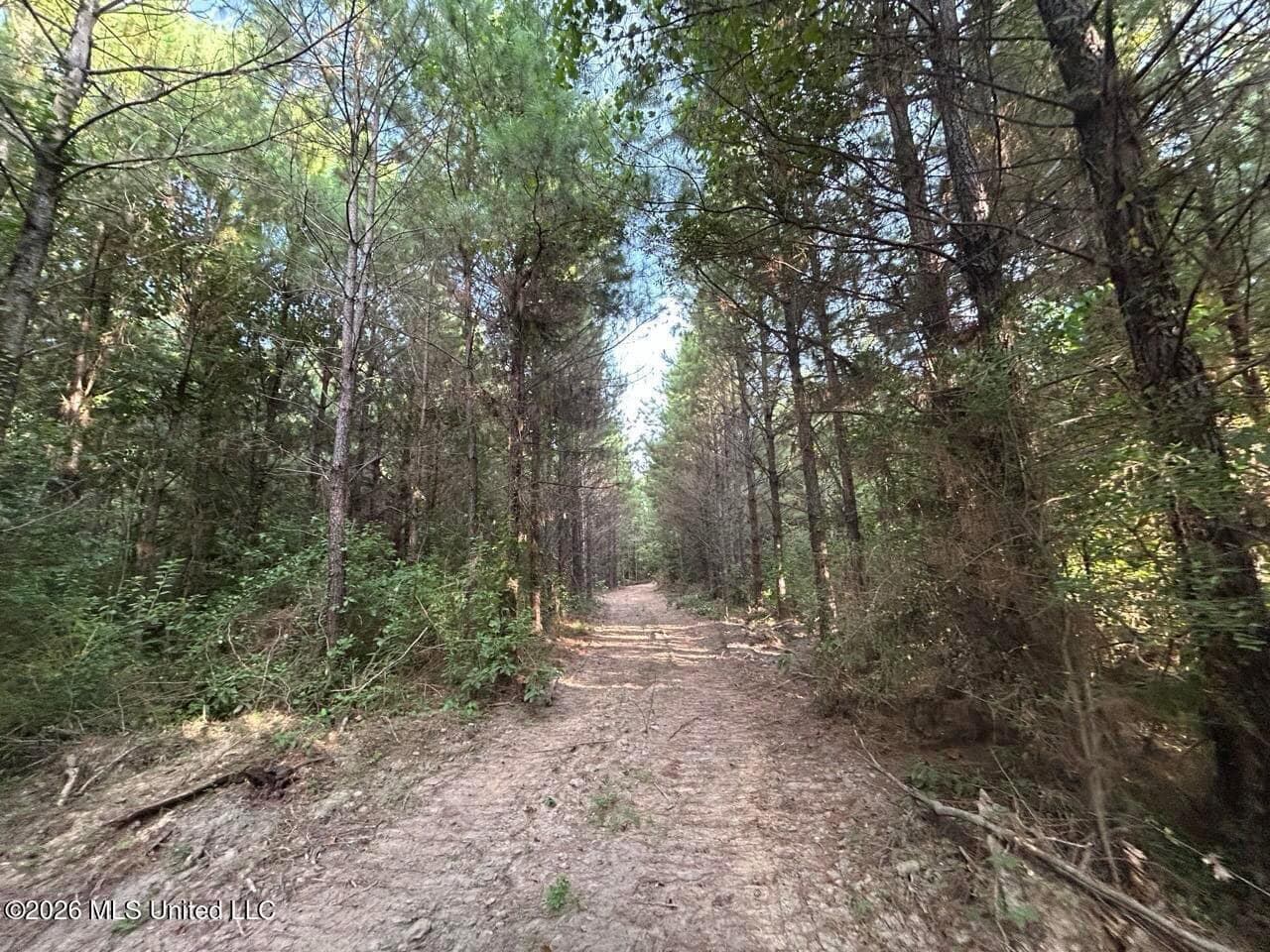 82± Acre Hunting Tract in Meadville, MS