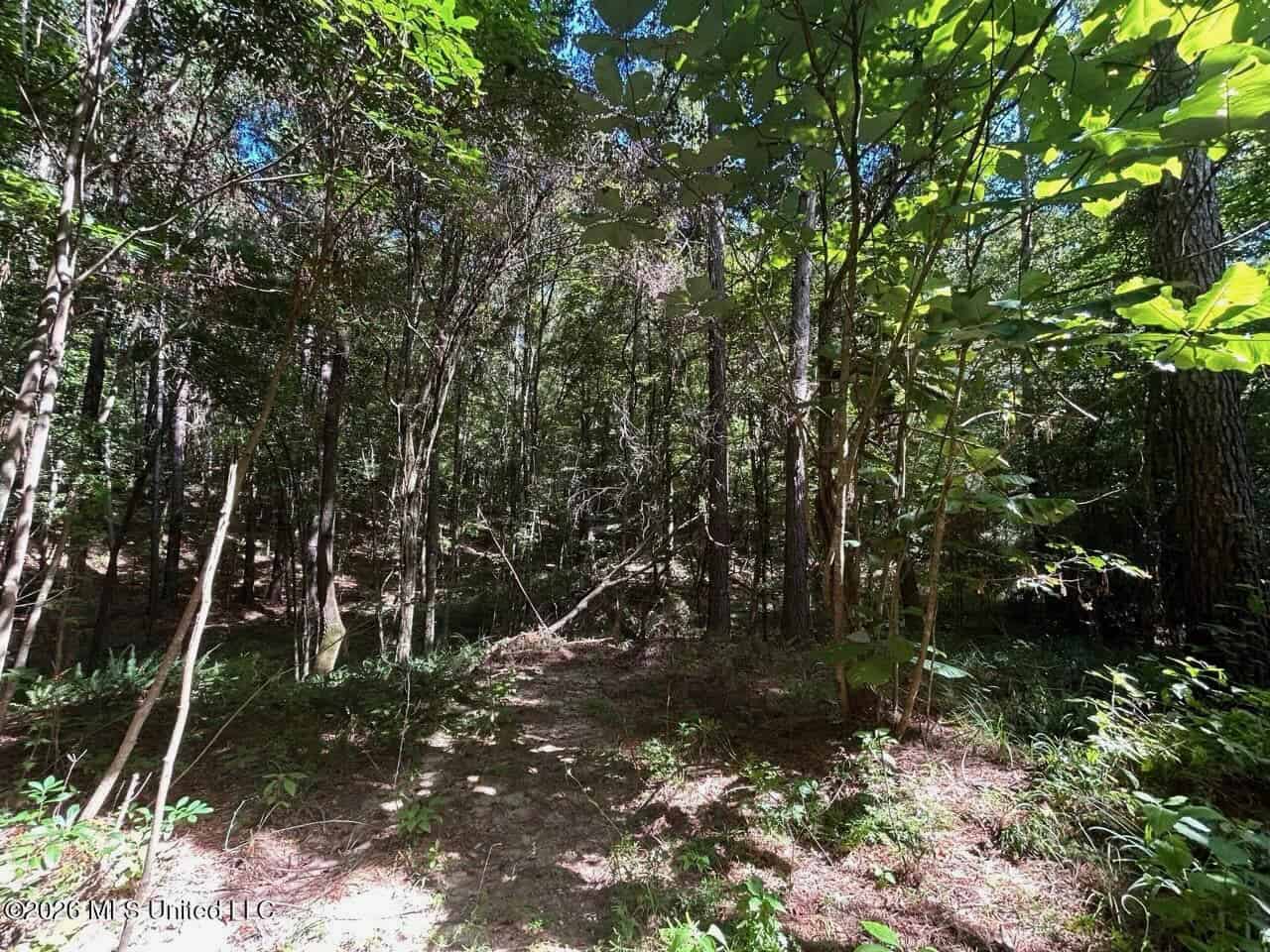FRANKLIN COUNTY LAND FOR SALE NEAR McCALL CREEK