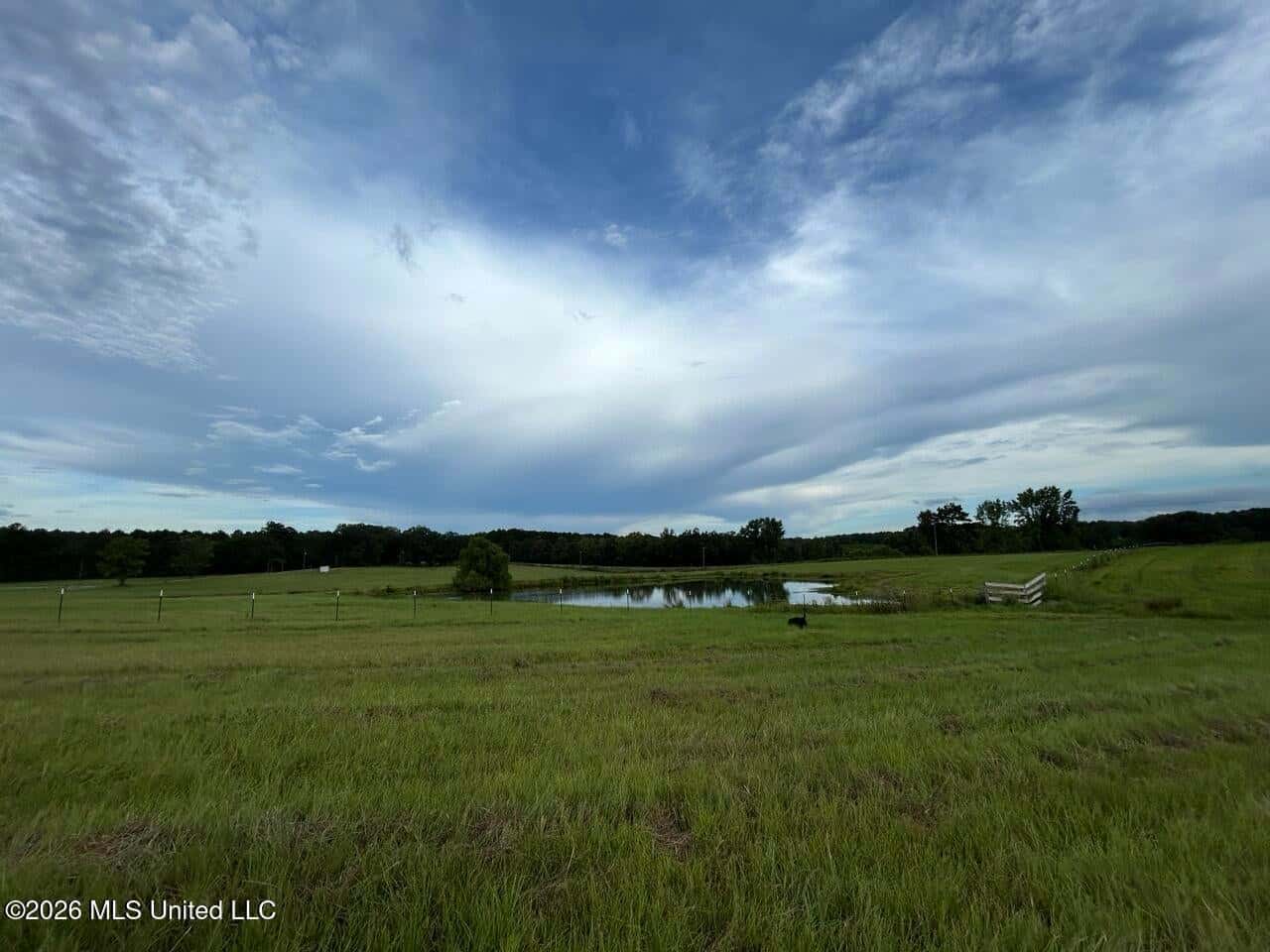 25± Acre Farm & Homesite in Centreville, MS