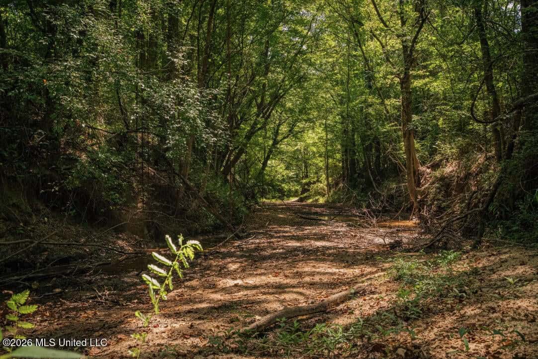 52.25± Acres in Copiah County, MS Near Hazlehurst