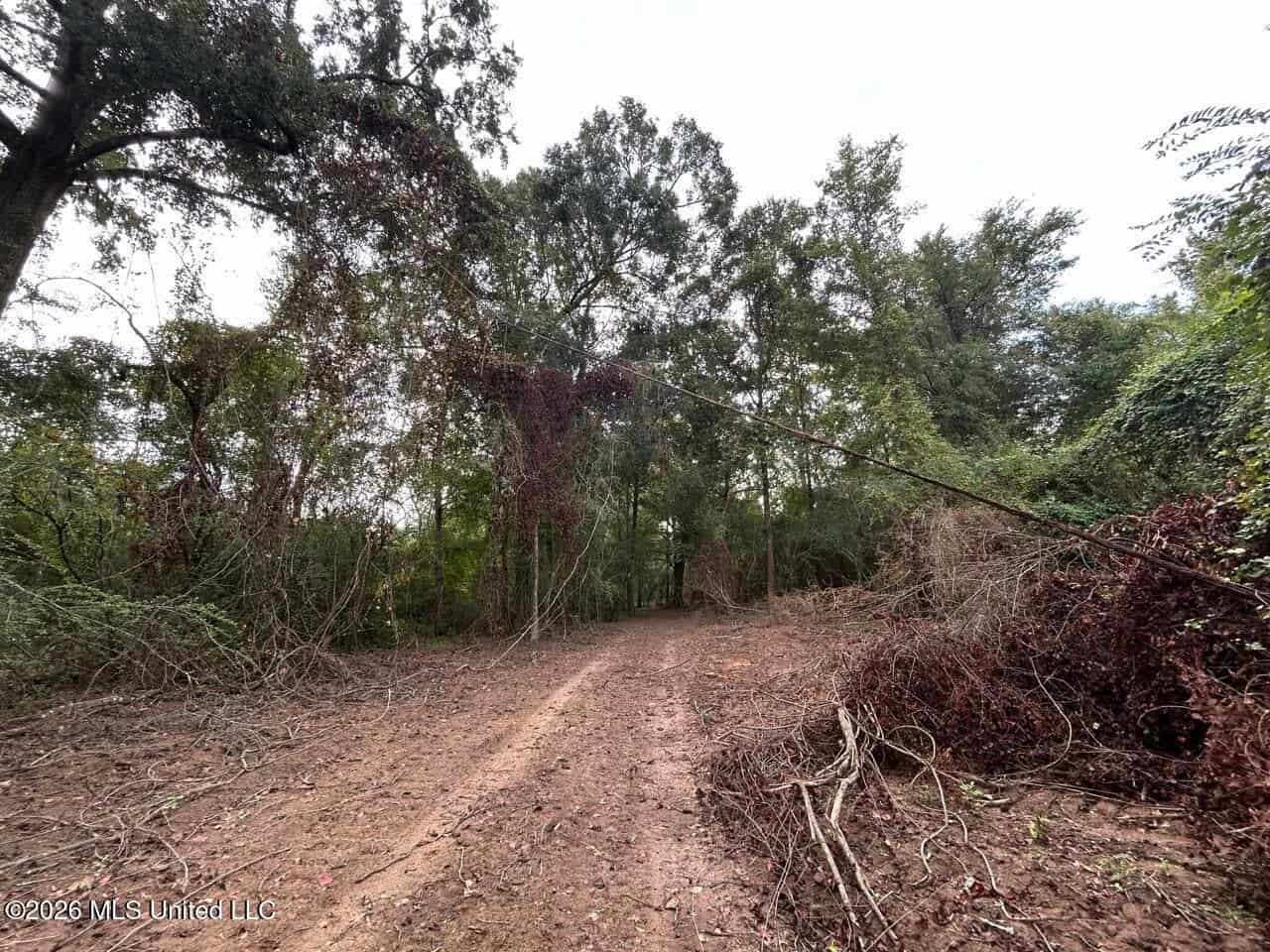 82± Acre Hunting Property in Wilkinson County, MS