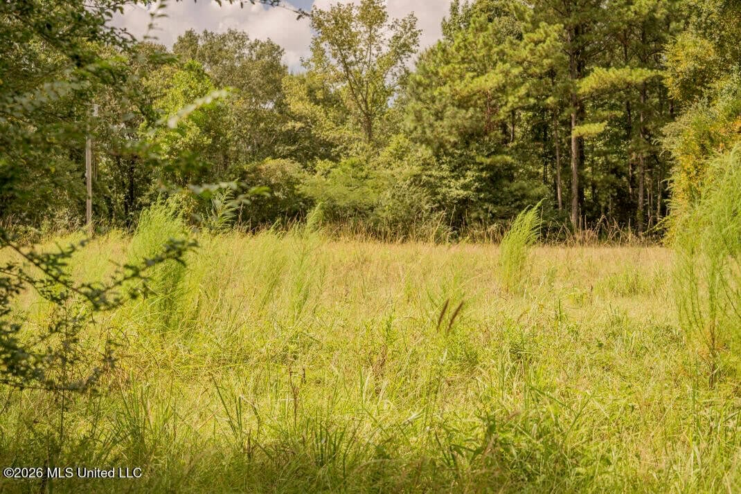 HWY 49 Land for Sale Simpson County, MS