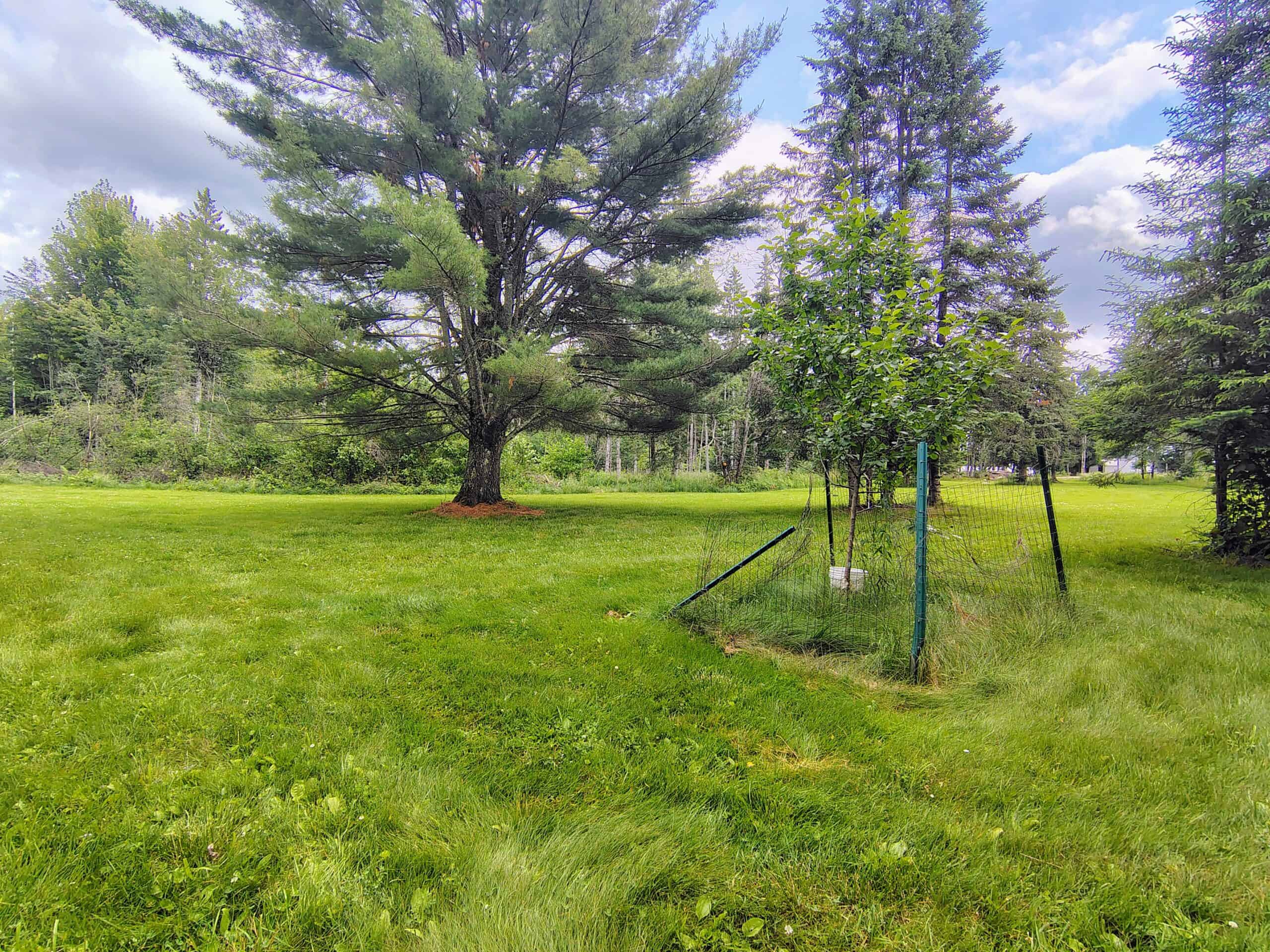 80± Acre Hunting Retreat for Sale in Butternut, WI