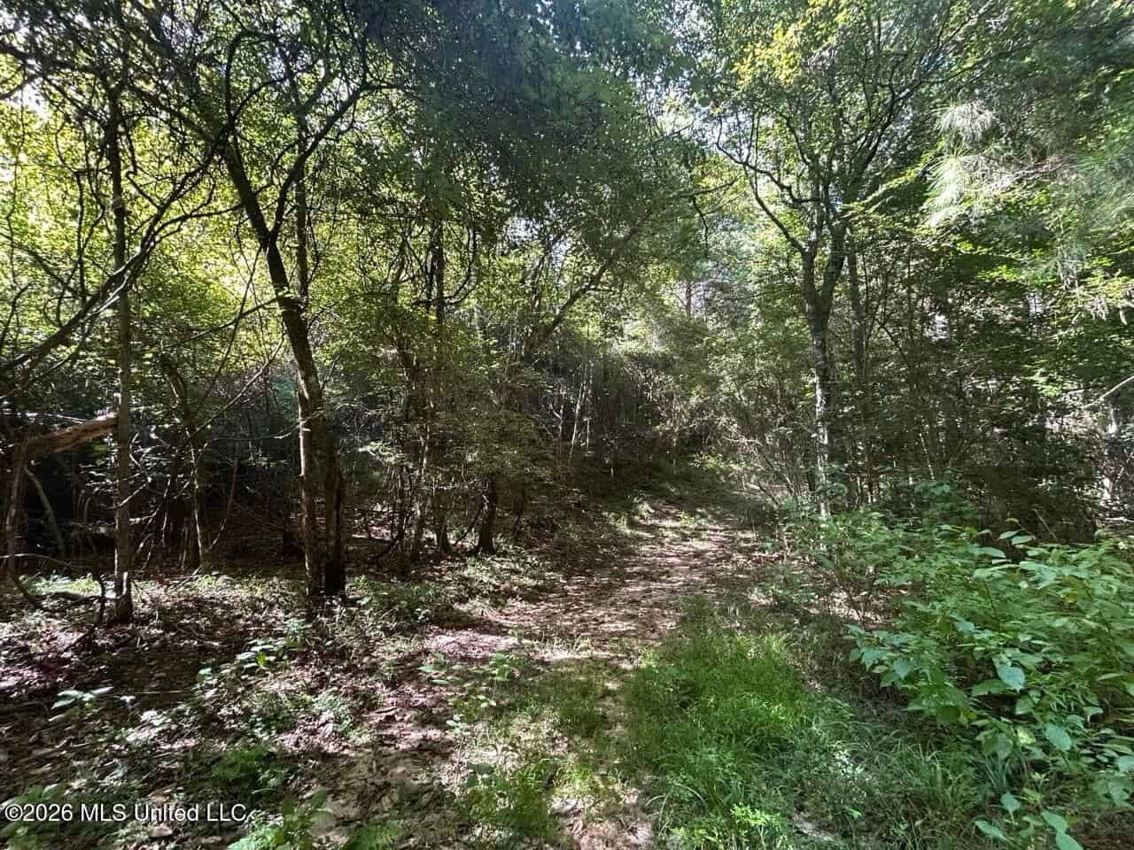 FRANKLIN COUNTY LAND FOR SALE NEAR McCALL CREEK