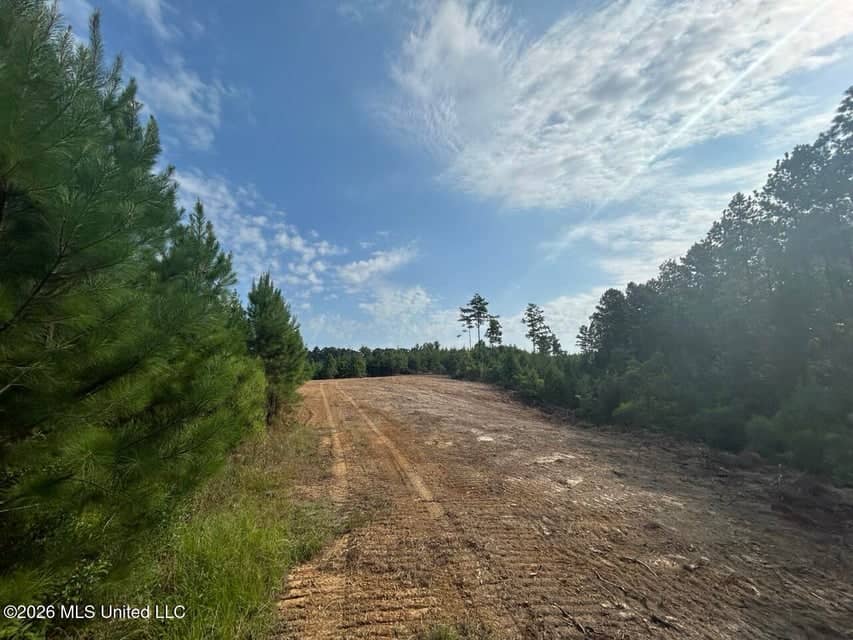 90± Acre Hunting Tract for Sale in Meadville, MS