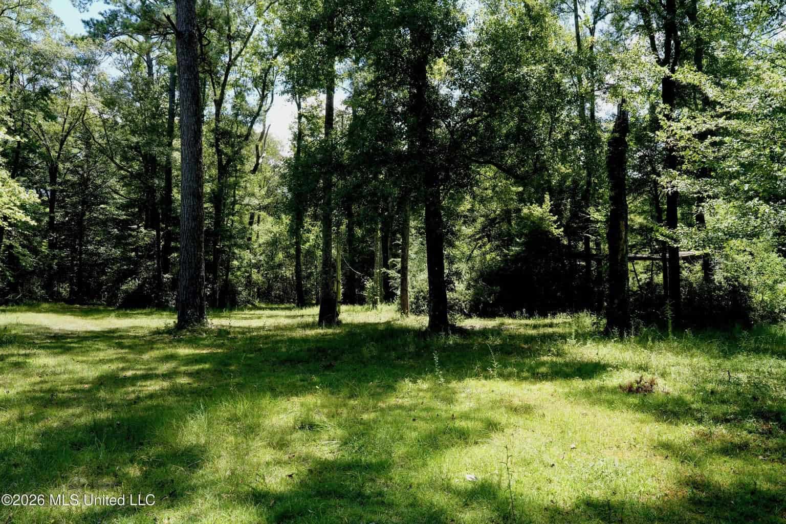 150 Acres for Sale in Magnolia MS on Tangipahoa River