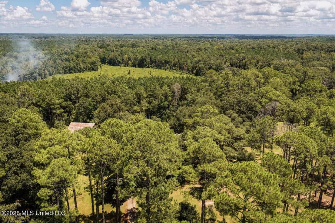 20 Acres for Sale Magnolia MS with Barn & Mature Timber