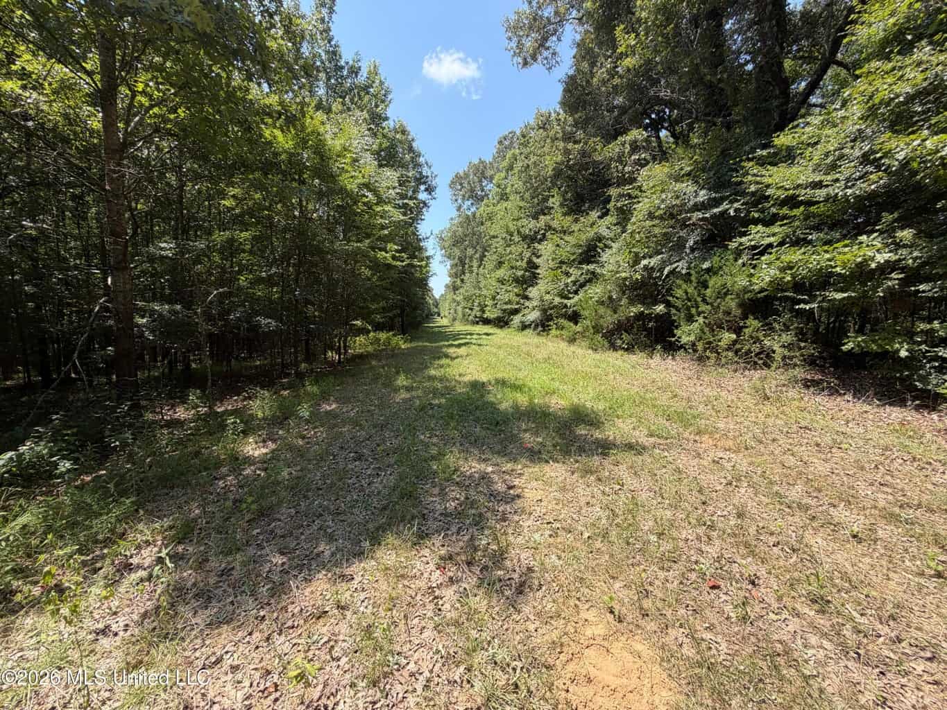 81-Acre Timber Property on 20-Acre Lake in Vaughan, MS