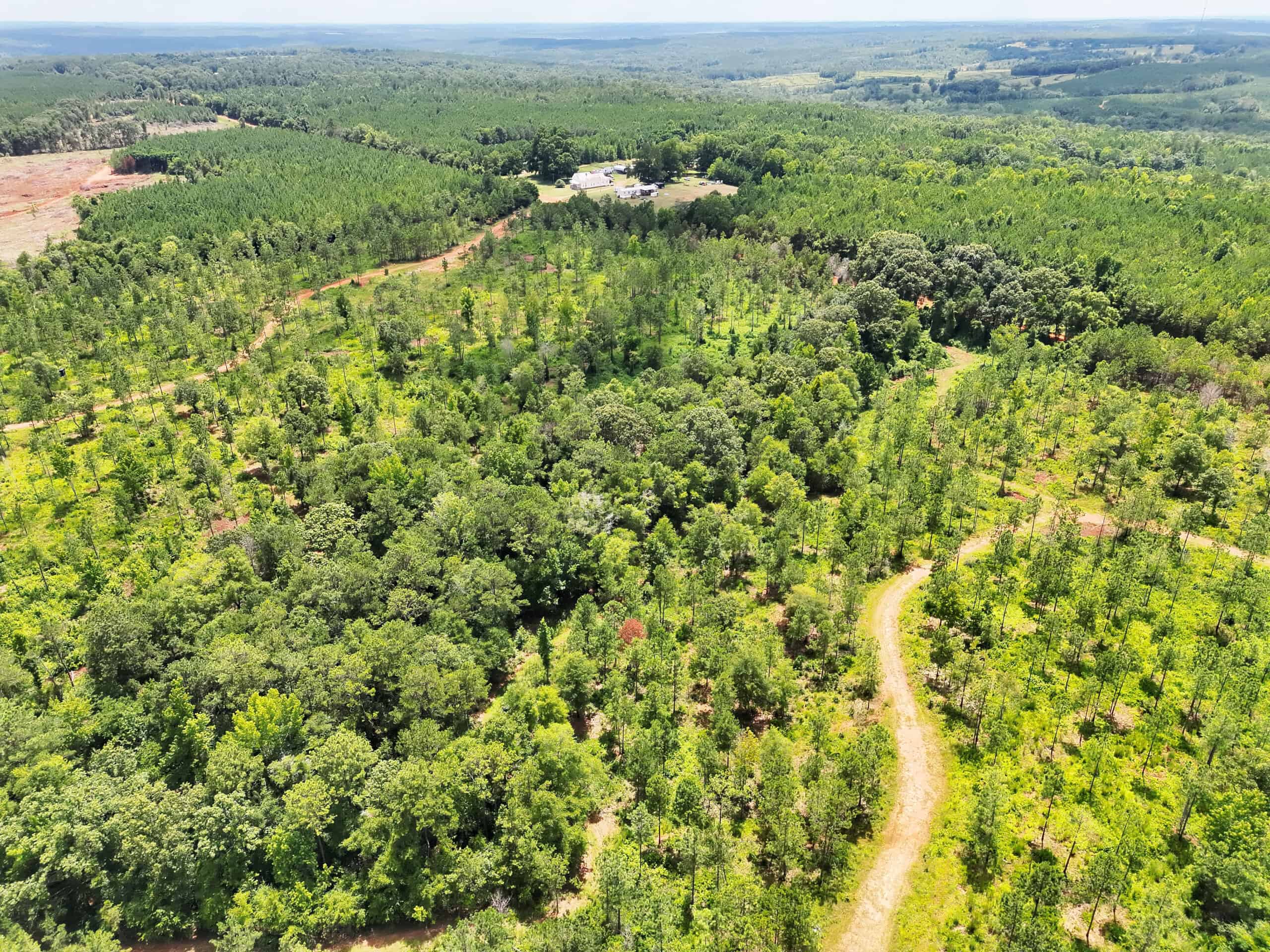 Discover an outstanding 130-acre recreational and hunting property in Stewart Cty