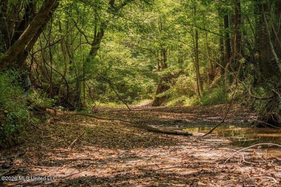 52.25± Acres in Copiah County, MS Near Hazlehurst