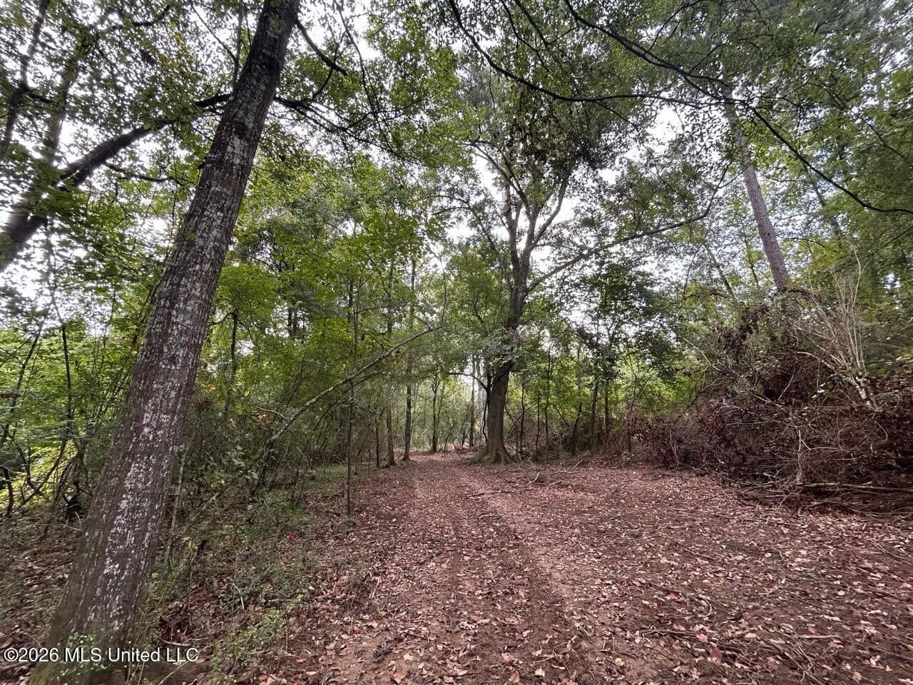 82± Acre Hunting Property in Wilkinson County, MS