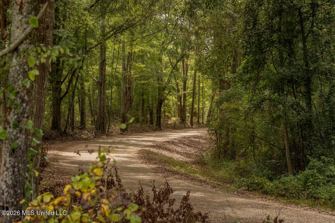 HWY 49 Land for Sale Simpson County, MS