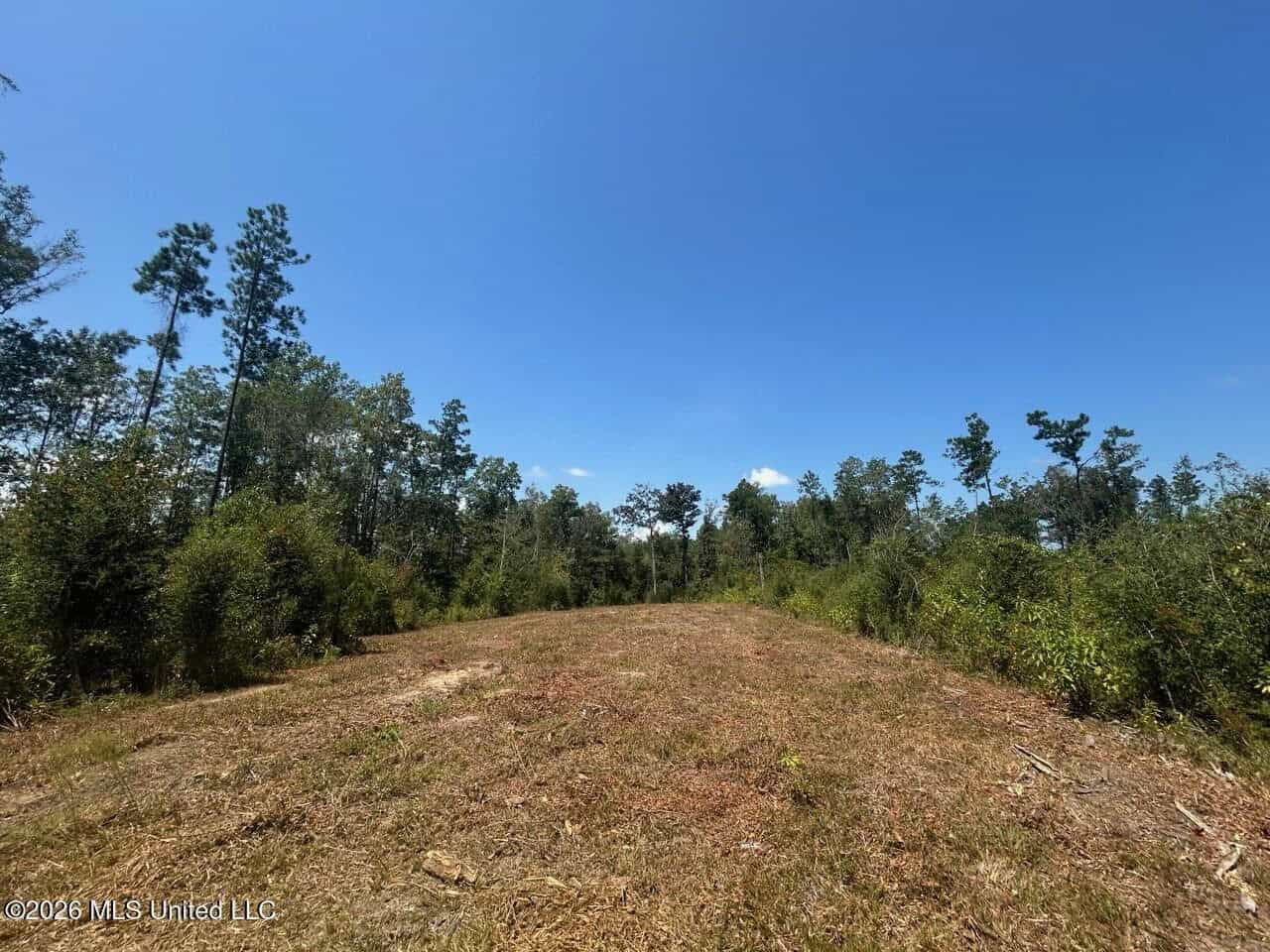 147± Acre Hunting Property in Plainview, LA