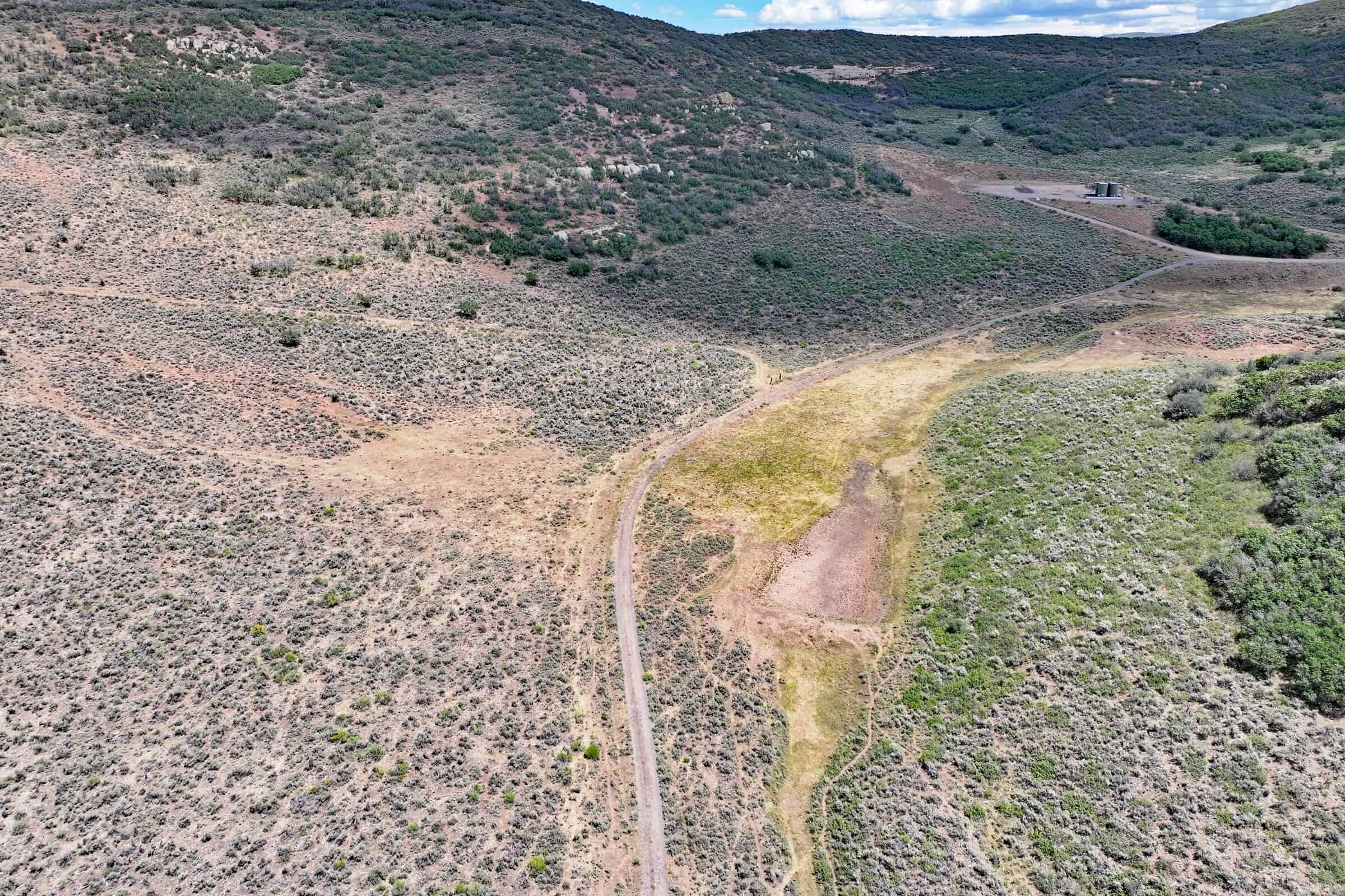 35 Acres Borders Public Land near Collbran, CO
