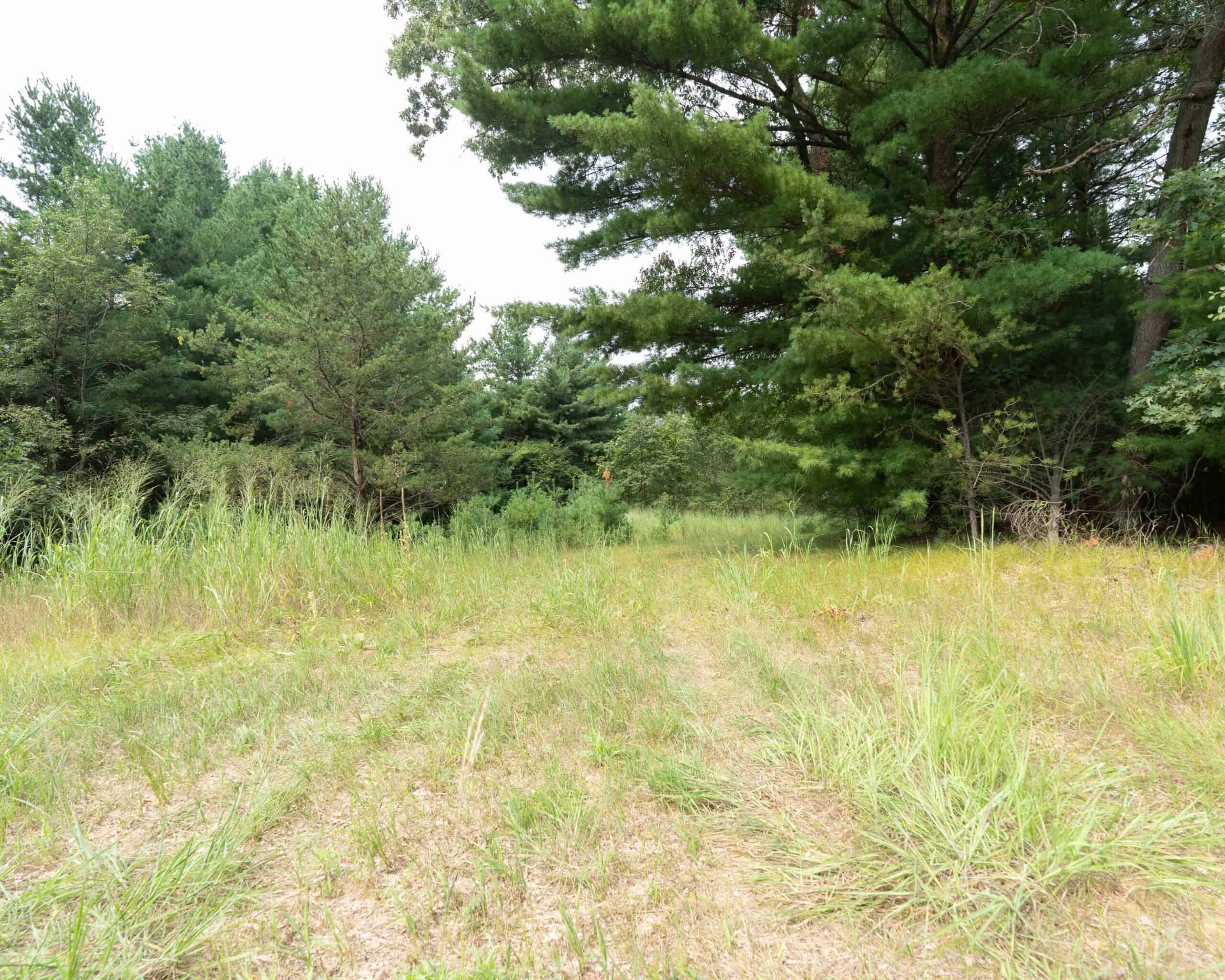 Rare opportunity to own 17.54 wooded acres within the City of Adams