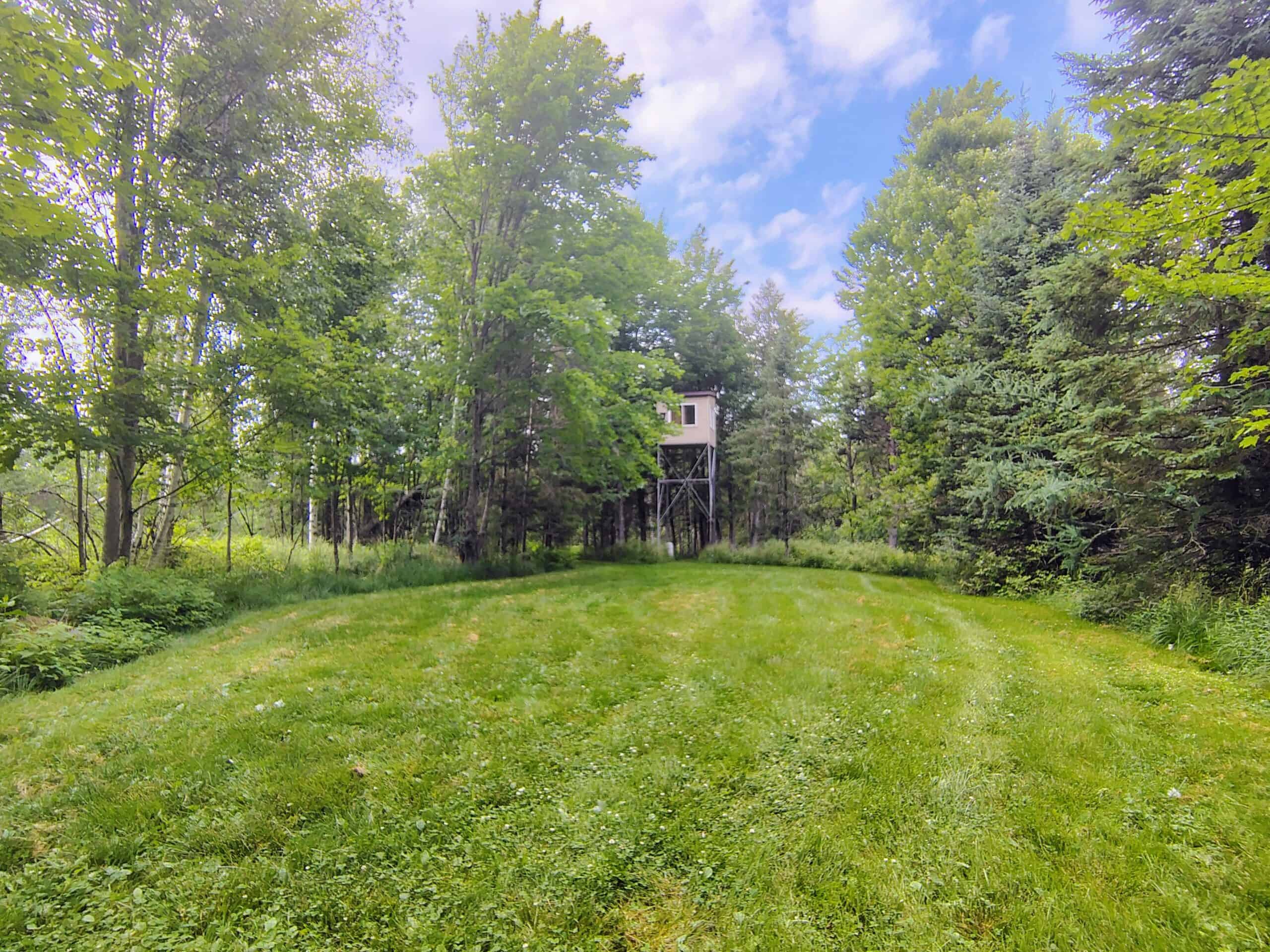 80± Acre Hunting Retreat for Sale in Butternut, WI