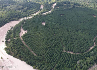 82± Acre Hunting Tract in Meadville, MS
