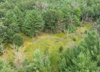 Rare opportunity to own 17.54 wooded acres within the City of Adams