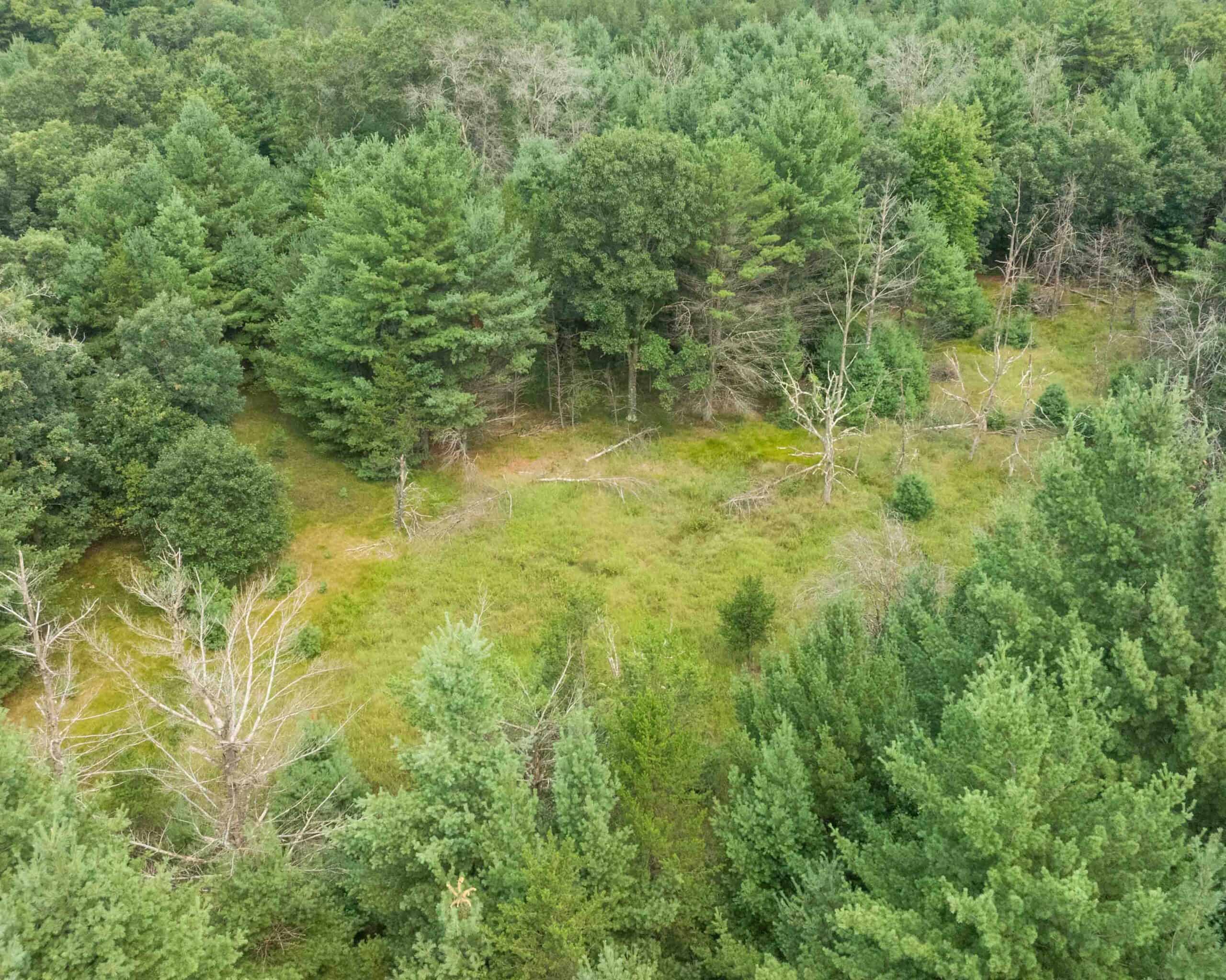 Rare opportunity to own 17.54 wooded acres within the City of Adams
