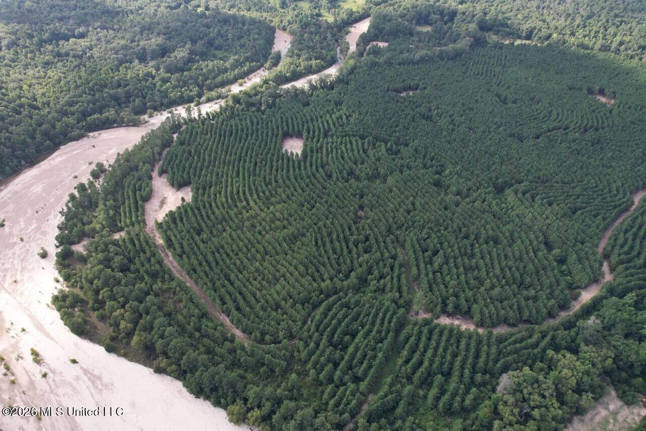 82± Acre Hunting Tract in Meadville, MS