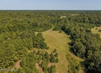 52.25± Acres in Copiah County, MS Near Hazlehurst