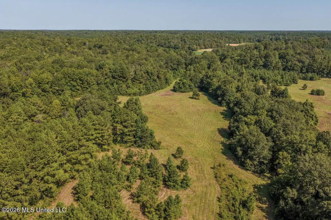 52.25± Acres in Copiah County, MS Near Hazlehurst