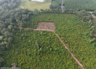 82± Acre Hunting Property in Wilkinson County, MS