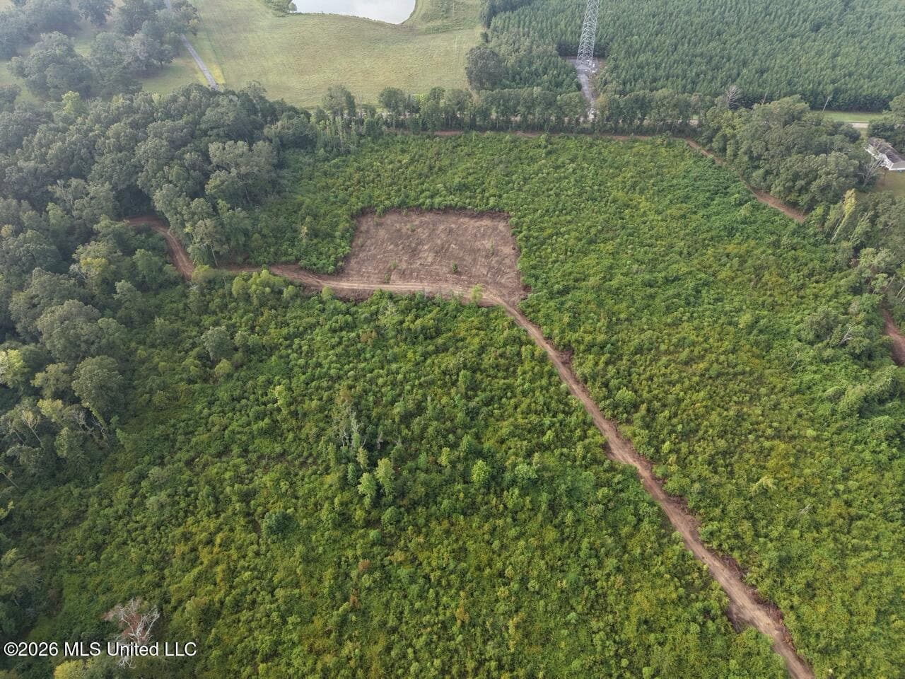 82± Acre Hunting Property in Wilkinson County, MS