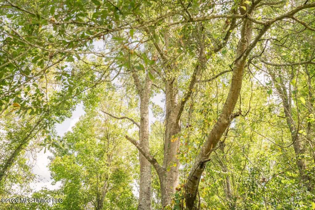 HWY 49 Land for Sale Simpson County, MS
