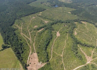 147± Acre Hunting Property in Plainview, LA