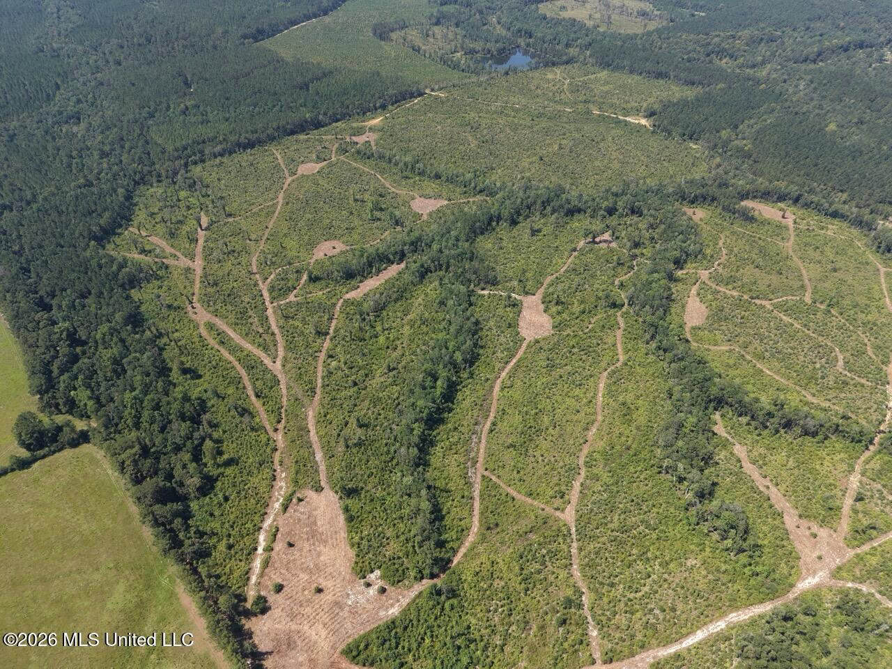 147± Acre Hunting Property in Plainview, LA