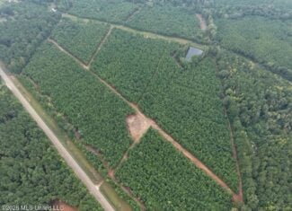 53± Acre Hunting Property Near Centreville, MS