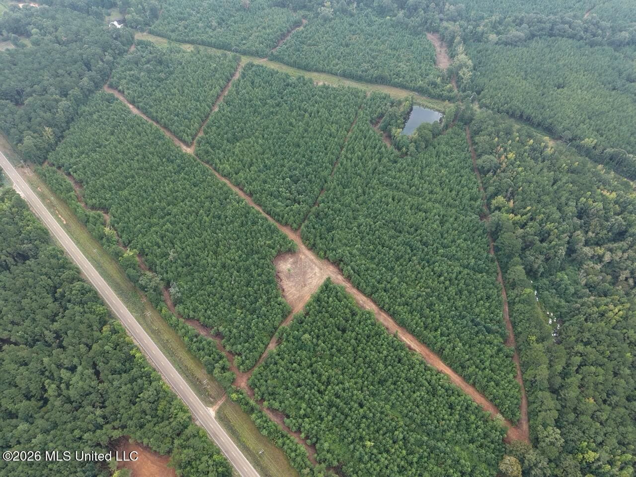 53± Acre Hunting Property Near Centreville, MS