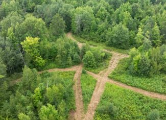 Juneau County WI 80 Acre Camp For Sale